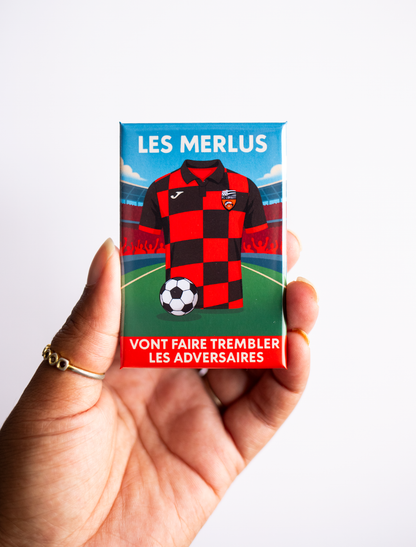 Magnet rectangle foot Ligue 1: affiche les couleurs de ton club préféré