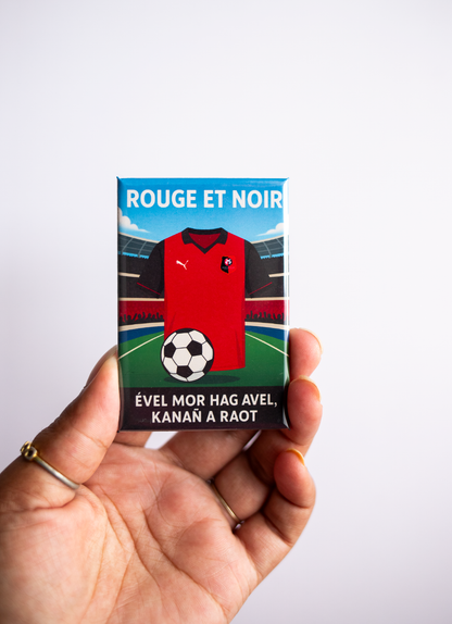 Magnet rectangle foot Ligue 1: affiche les couleurs de ton club préféré